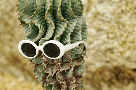 The Future of Eyewear is Sustainable