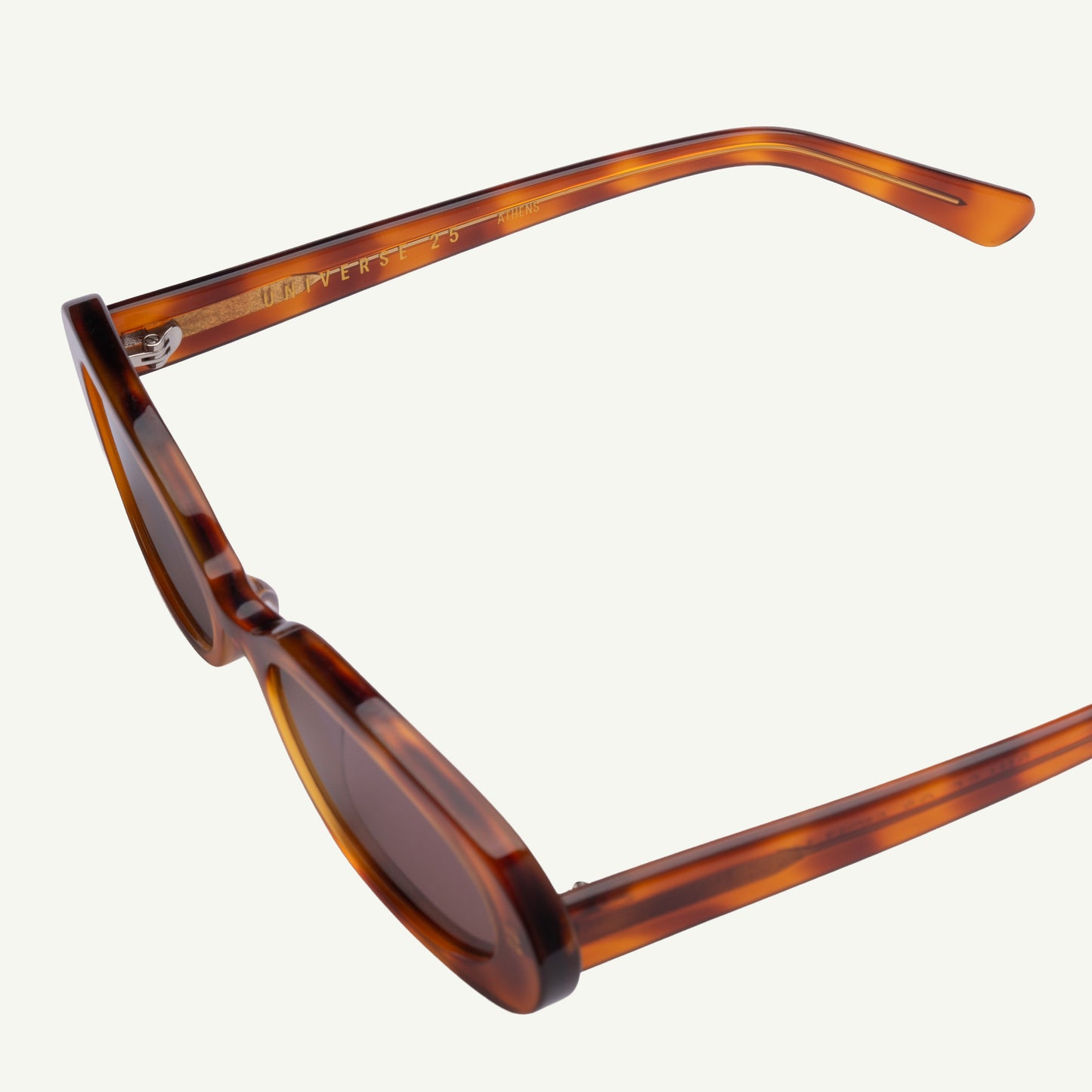 Brown tortoiseshell sunglasses on a white background
